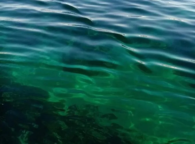 La Tua Stanza A Vela Sul Mare *